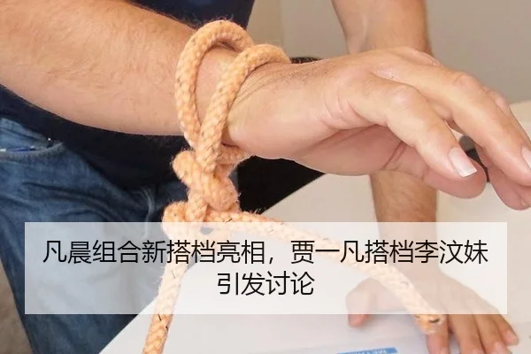 fan-chen-zu-he-xin-da-dang-liang-xiang-jia-yi-fan-da-dang-li-wen-mei-yin-fa-tao-lun-2-935.jpg